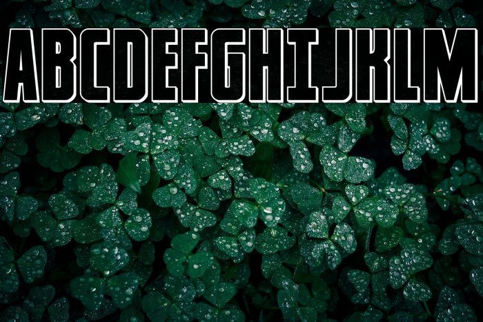 Captain Canaveral Outline Example 3