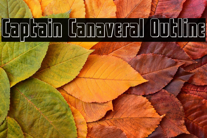 Captain Canaveral Outline Example 1