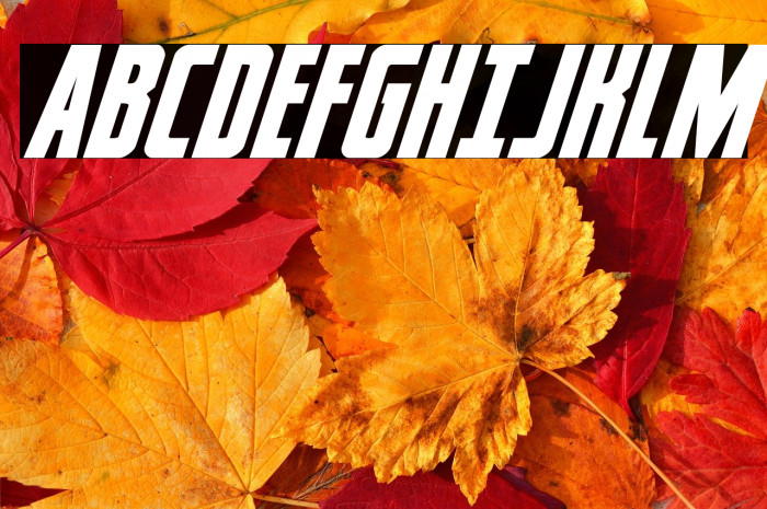 Captain Canaveral Super-Italic Example 1