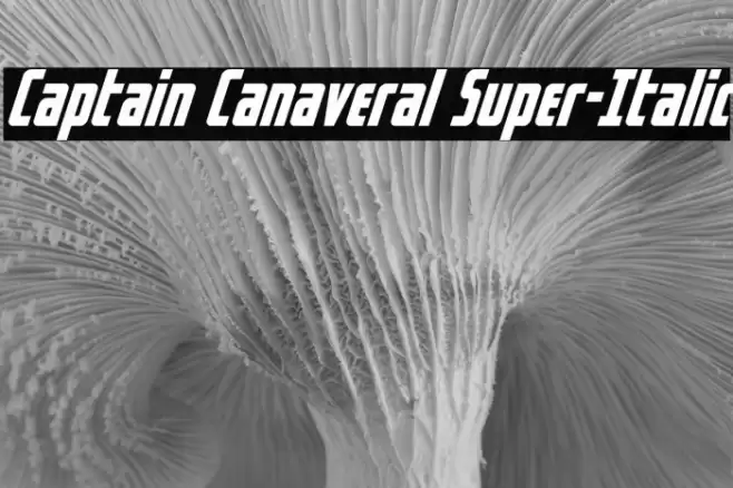 Captain Canaveral Super-Italic Font examples