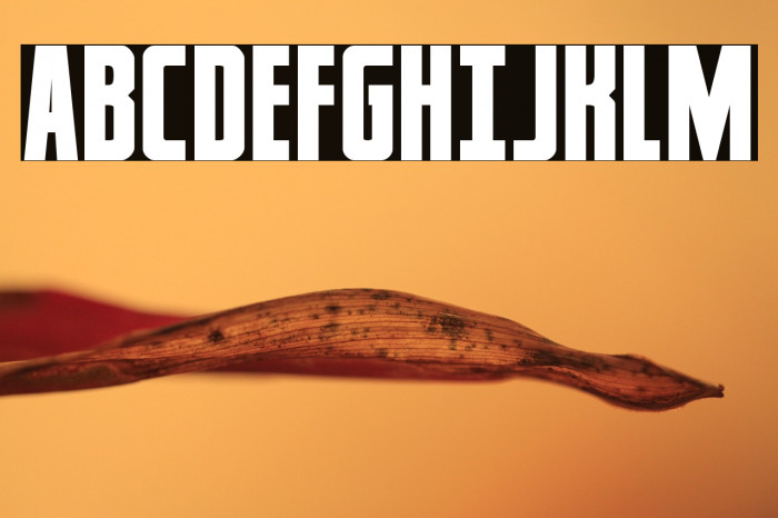 Captain Canaveral Example 2