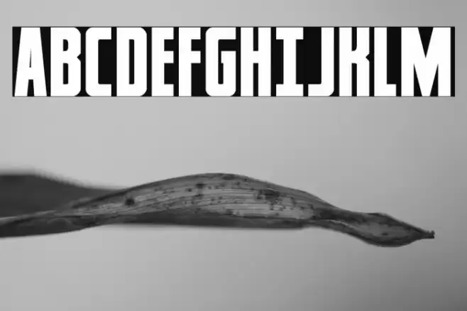 Captain Canaveral Font examples