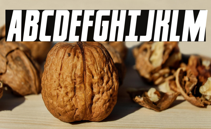 Captain CanaveralSemi-Italic Example 1