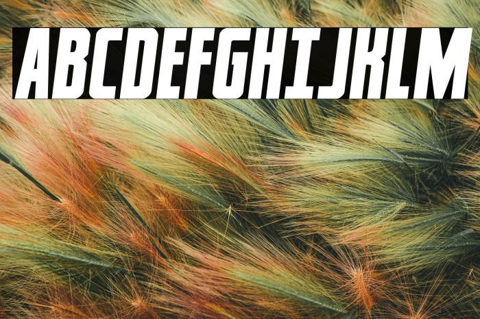 Captain CanaveralSemi-Italic Example 2