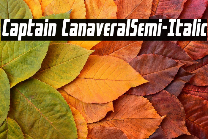 Captain CanaveralSemi-Italic Example 1