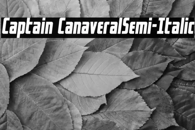 Captain CanaveralSemi-Italic Font examples