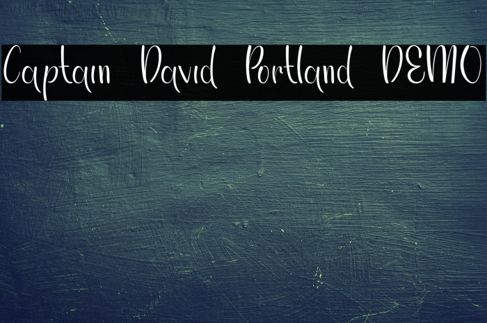Captain David Portland DEMO Example 1