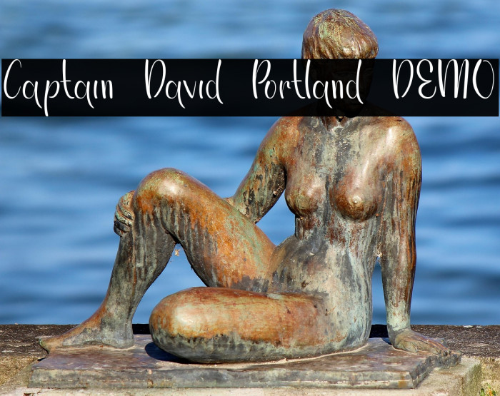 Captain David Portland DEMO Example 2