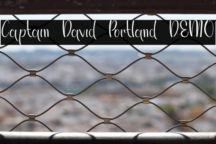 Captain David Portland DEMO Example 3