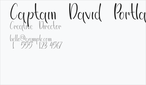 Captain David Portland DEMO Business Card