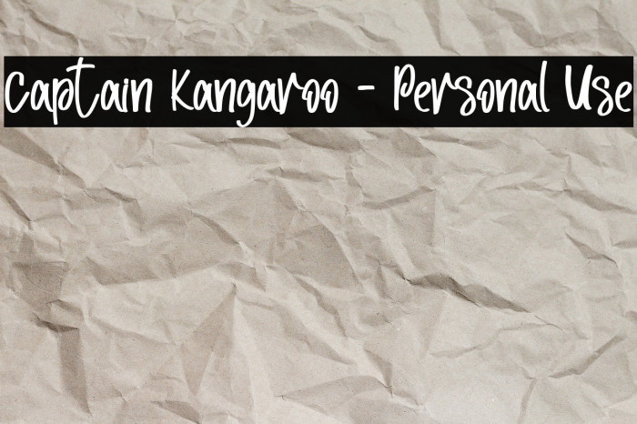 Captain Kangaroo - Personal Use Example 1