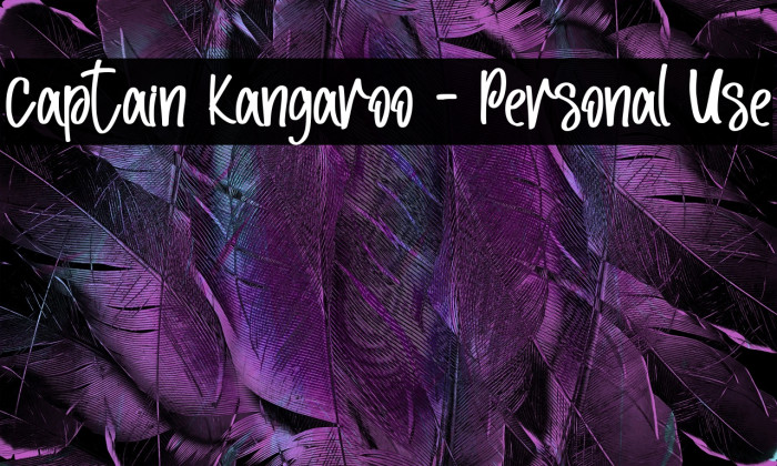 Captain Kangaroo - Personal Use Example 2