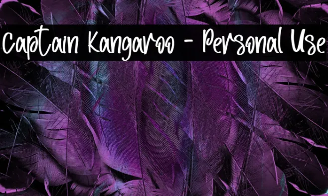 Captain Kangaroo - Personal Use Example 2