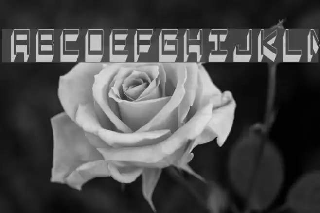 Captain Lethargic Caratteri examples