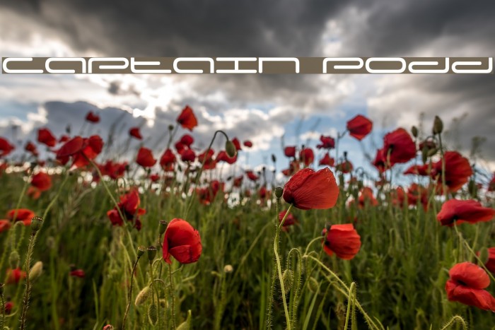 Captain Podd Font examples