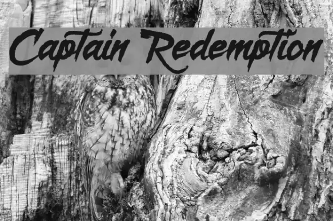 Captain Redemption Font examples