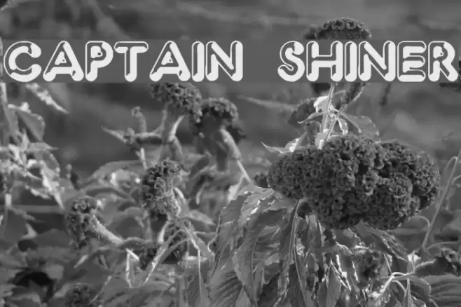 Captain Shiner Font examples