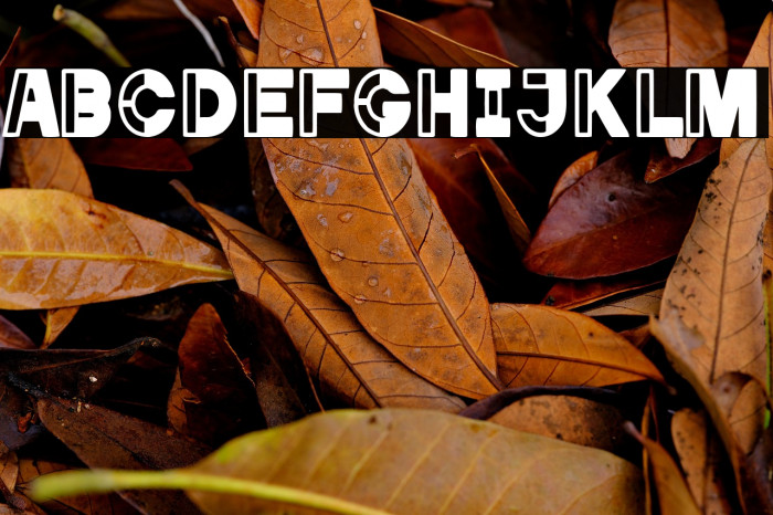 Captain Stencil Example 1