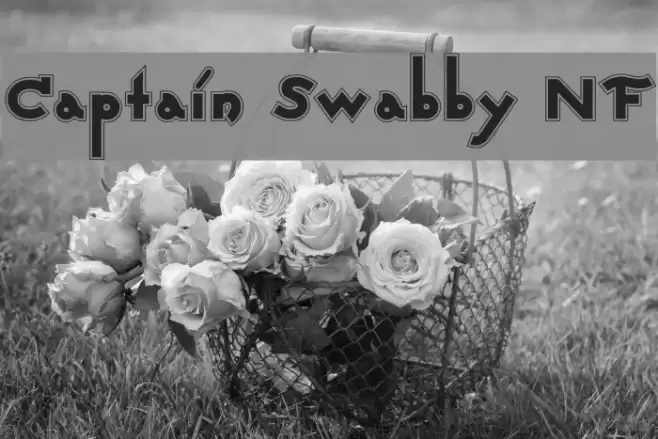 Captain Swabby NF Font examples
