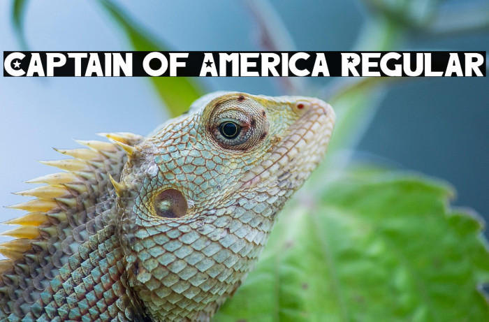 Captain of America Regular Example 1