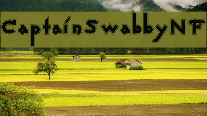 CaptainSwabbyNF Font examples