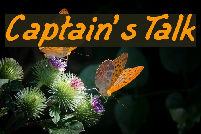 Captain's Talk Font examples