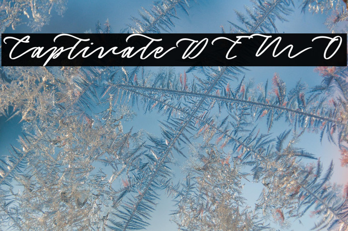 CaptivateDEMO Example 1