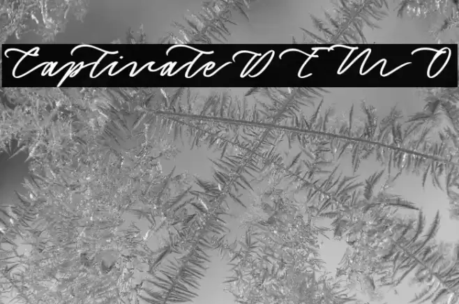 CaptivateDEMO Font examples