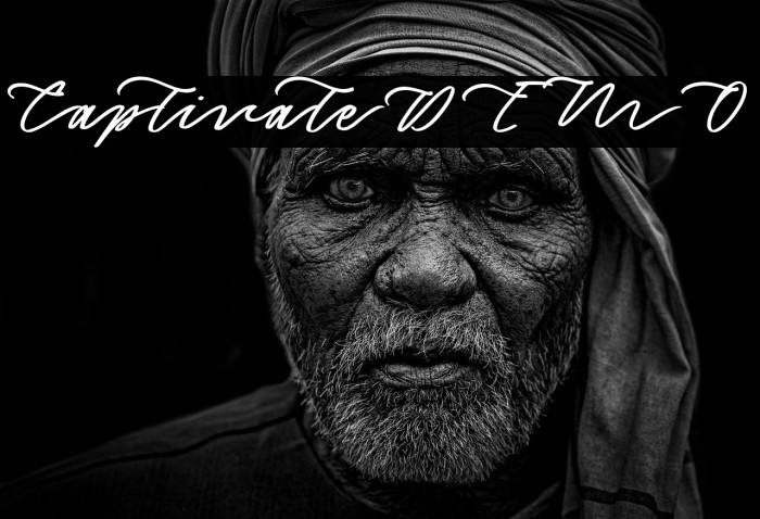 CaptivateDEMO Example 2