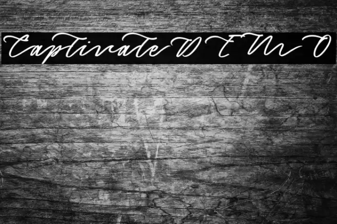 CaptivateDEMO Font examples