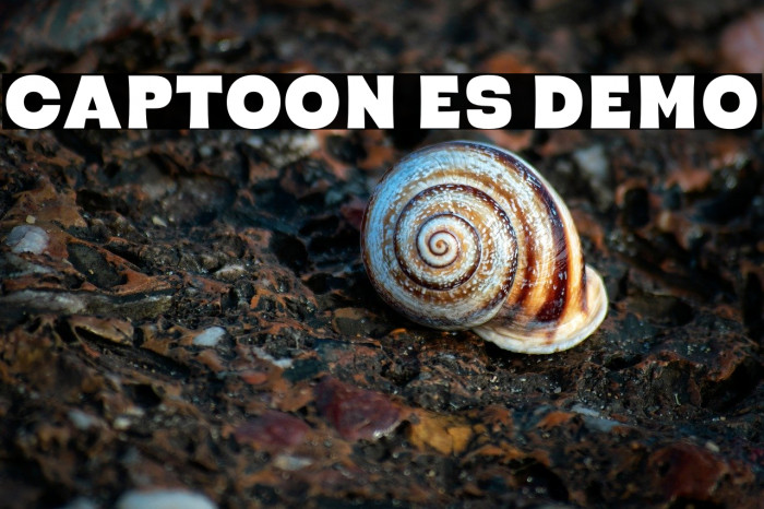 Captoon ES Demo Example 1