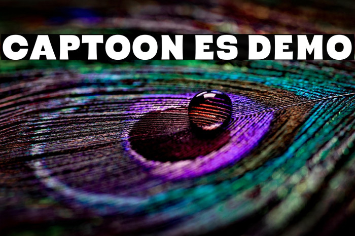 Captoon ES Demo Example 3