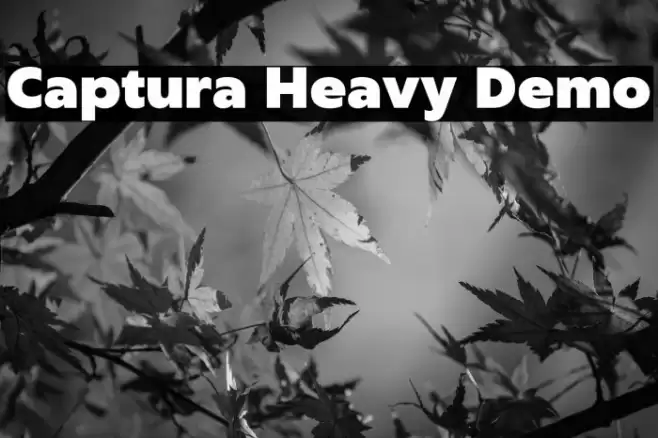 Captura Heavy Demo Font examples