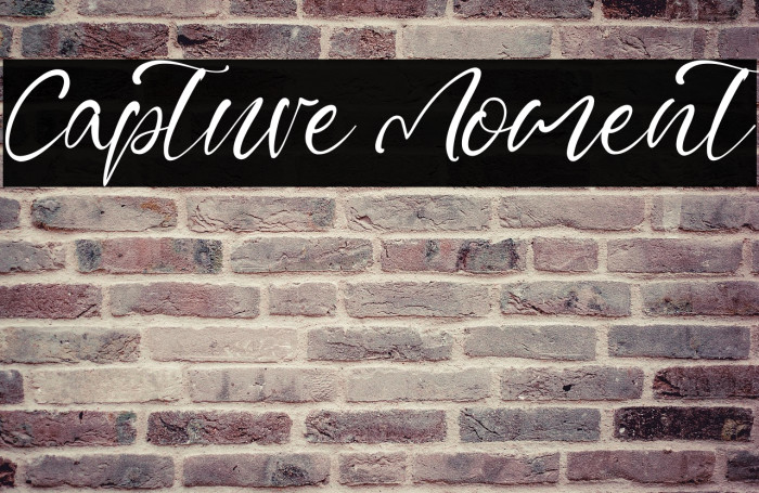 Capture Moment Example 1