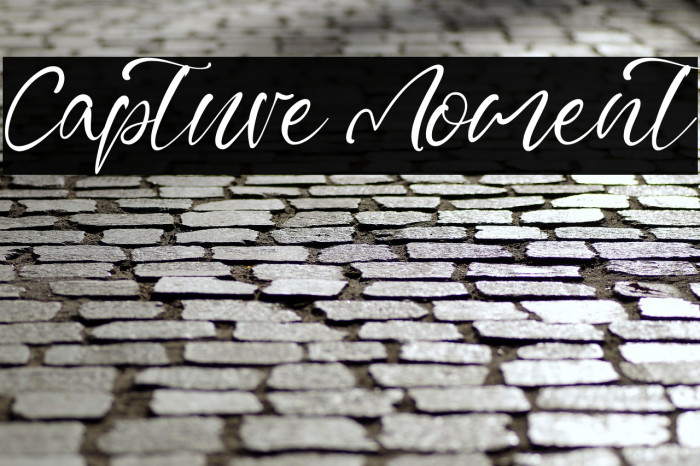 Capture Moment Example 2