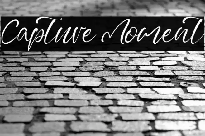 Capture Moment Font examples