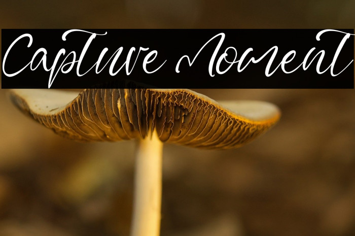 Capture Moment Example 3