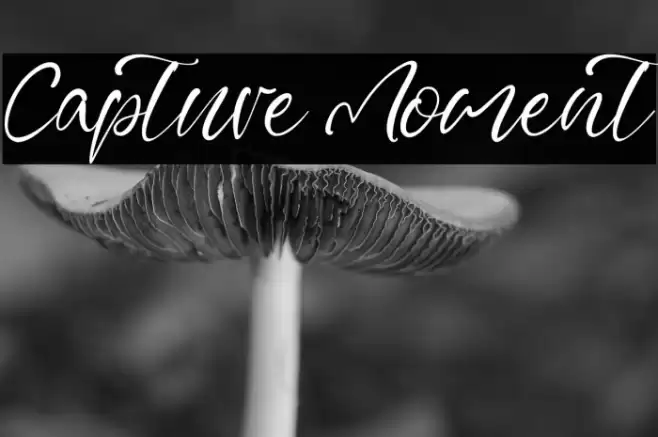 Capture Moment Font examples