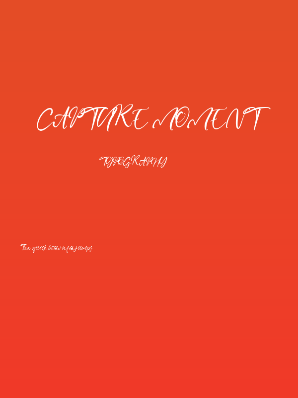 Capture Moment Poster