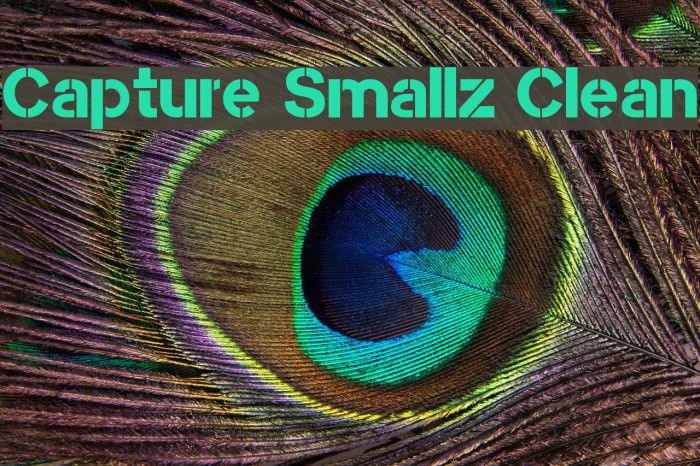 Capture Smallz Clean Font examples