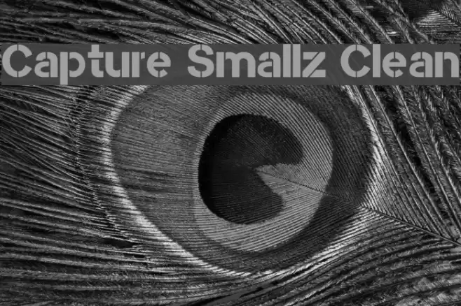 Capture Smallz Clean Font examples