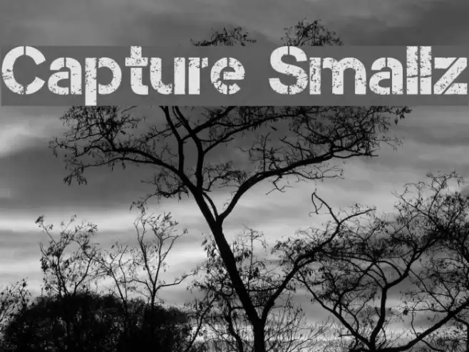 Capture Smallz Font examples