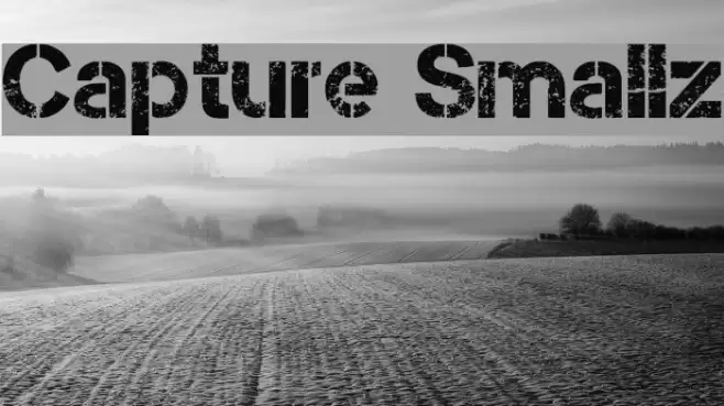Capture Smallz Font examples