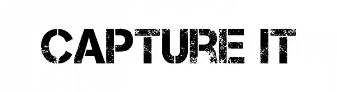 Capture it  免费字体下载