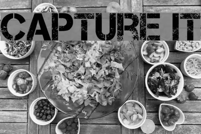 Capture it Font examples