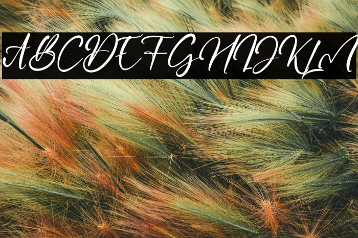 CaptureMoment Example 1