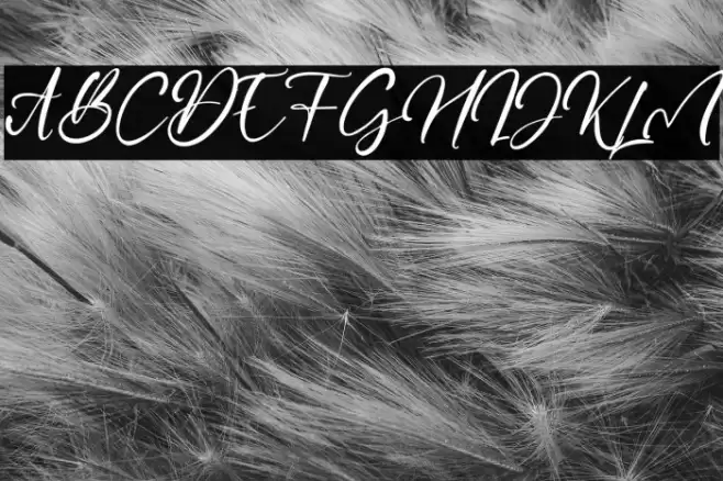 CaptureMoment Font examples