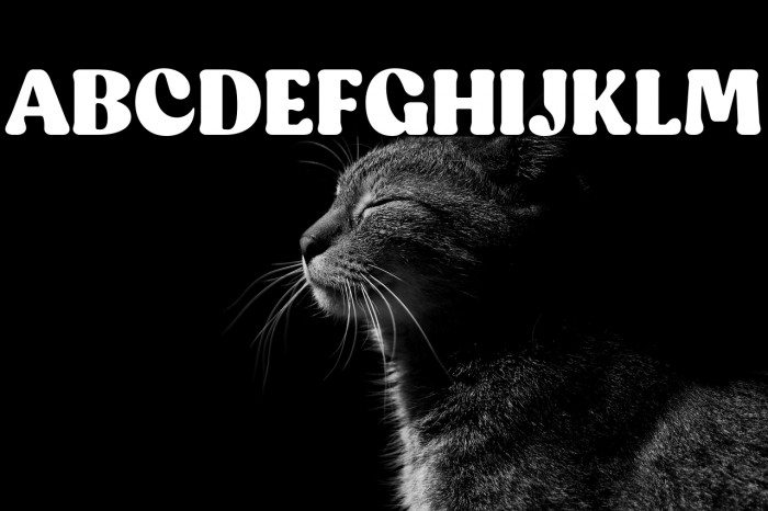 CapucheTrial-Black Example 1