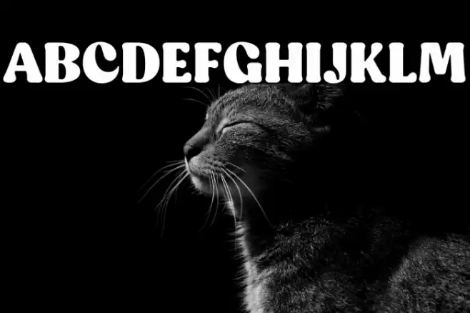 CapucheTrial-Black Font examples