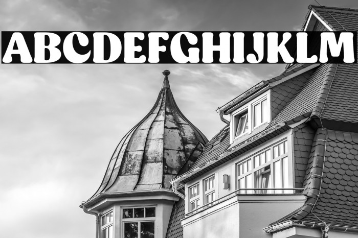 CapucheTrial-Black Example 2